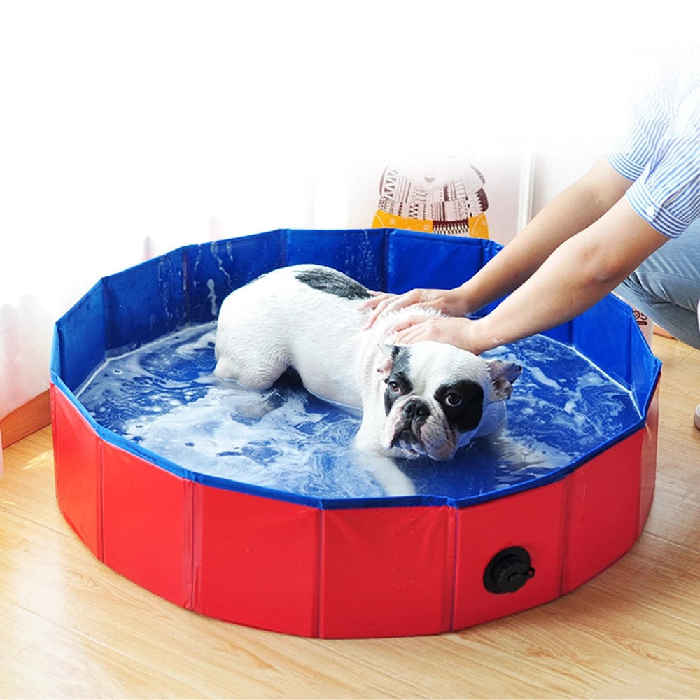 Piscine pliable pour chien avec trou de drainage