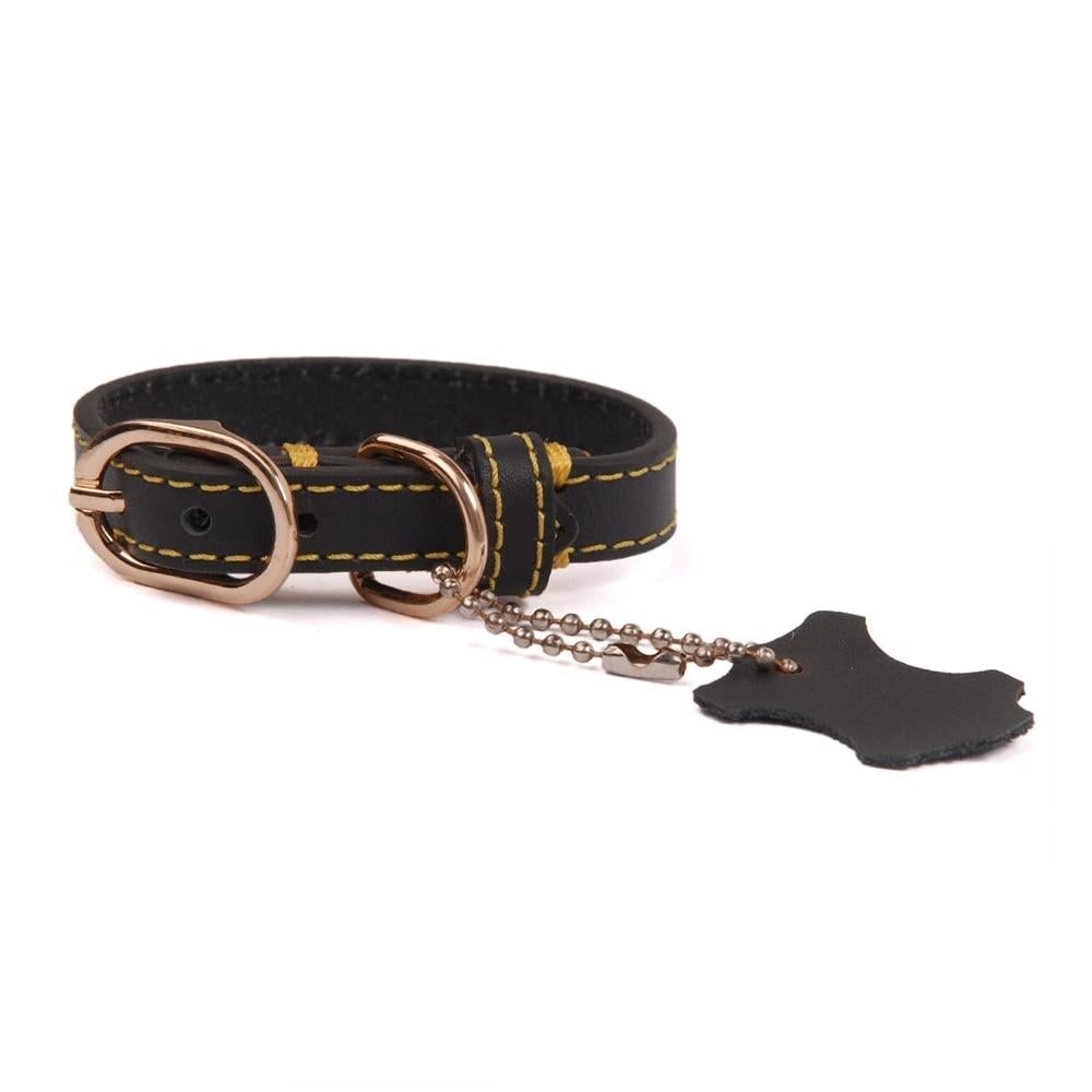 Collier pour chien avec boucle en acier inoxydable