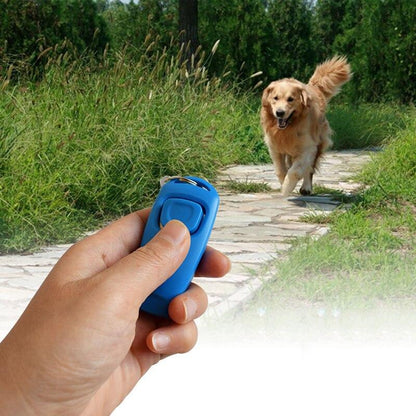 Outil de renforcement positif pour l'éducation du chien