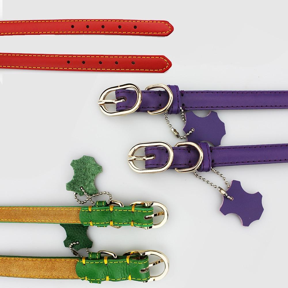 Collier en cuir résistant à l'eau pour chien