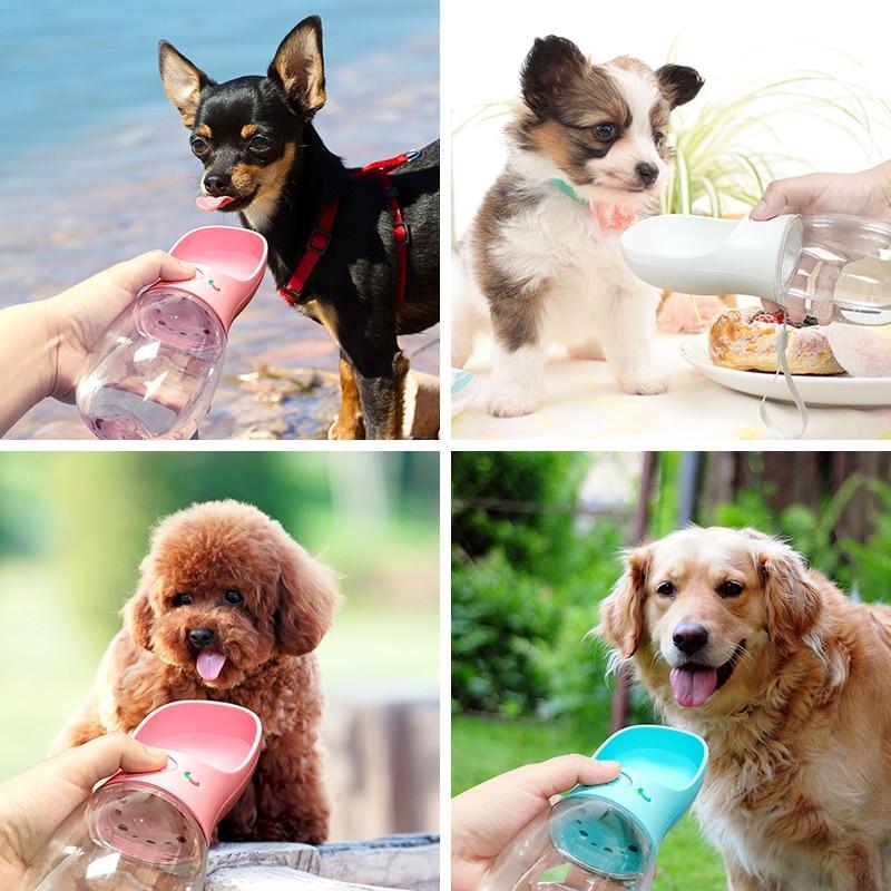 Gourde anti-fuite pour hydrater les animaux en promenade