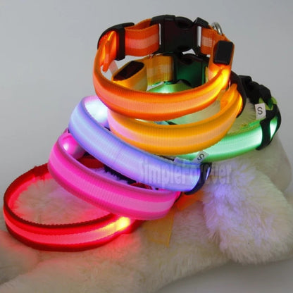 Collier de sécurité pour chien avec plusieurs modes d'éclairage