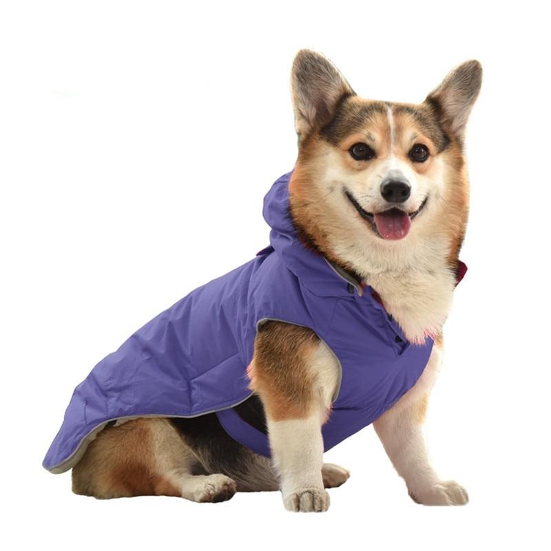 Harnais d'hiver chaud avec fermeture éclair pour chien