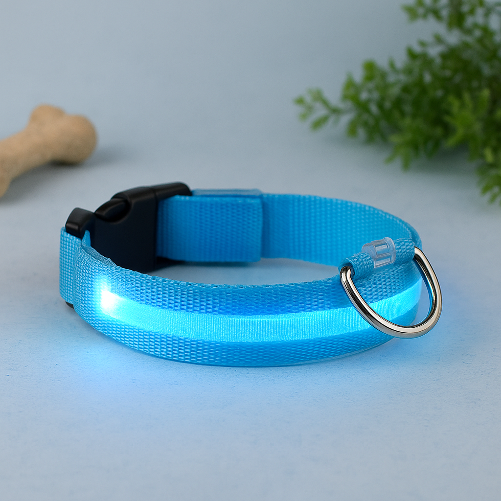 Collier LED lumineux de sécurité pour chien