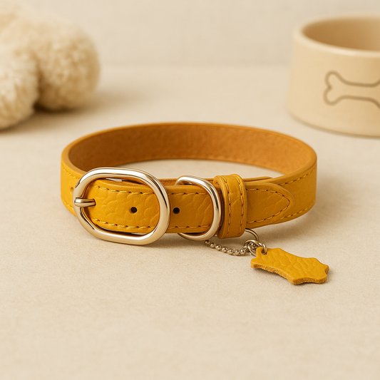 Collier en cuir véritable pour chien avec étiquette