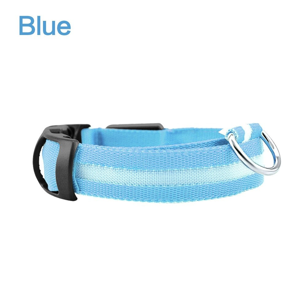 Collier LED réglable pour améliorer la visibilité du chien