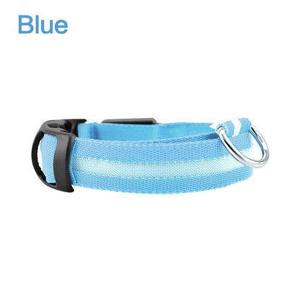 Collier LED réglable pour améliorer la visibilité du chien