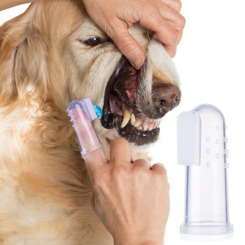 Brosse à dents en silicone pour chien et chat