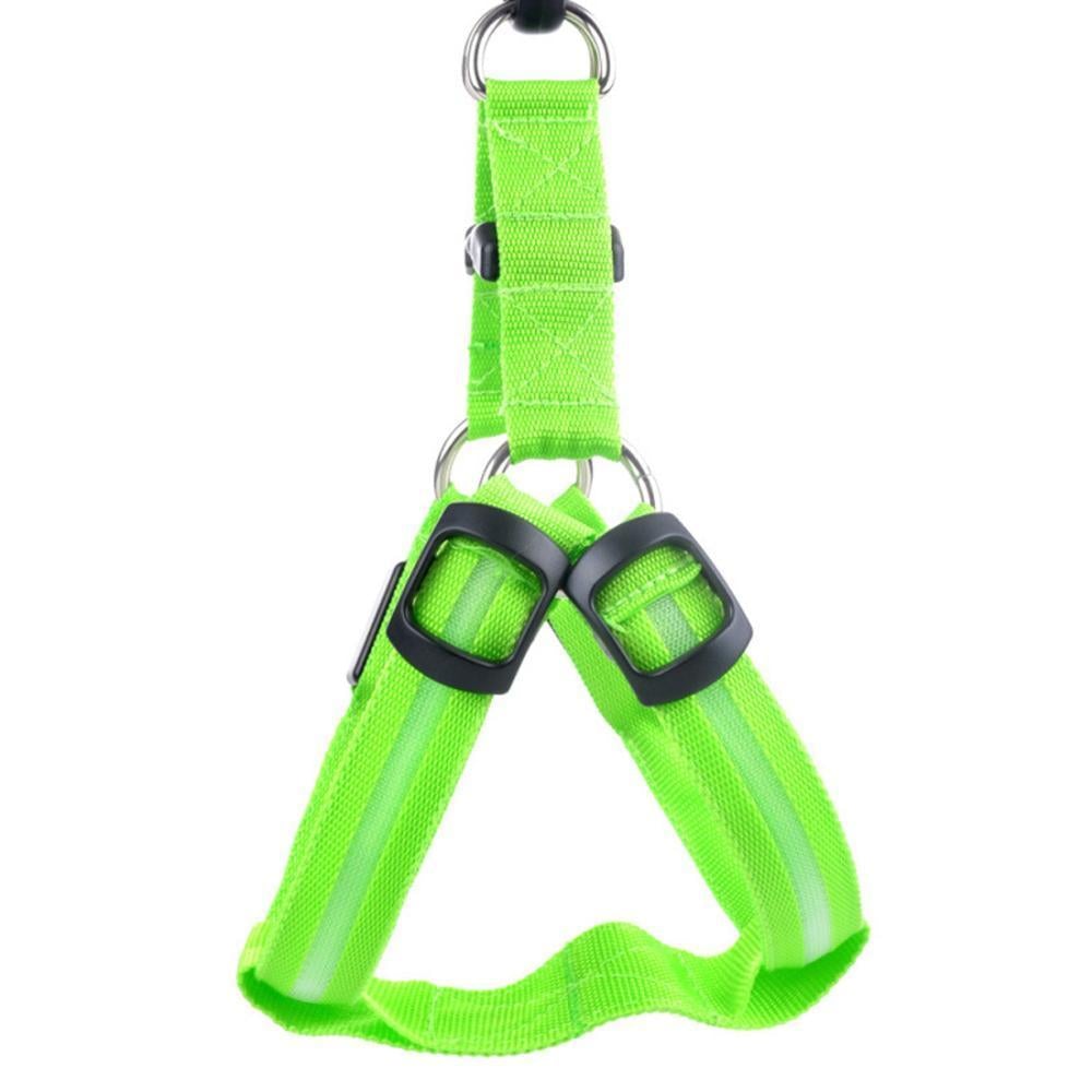 Piscine portable pour animaux de compagnie