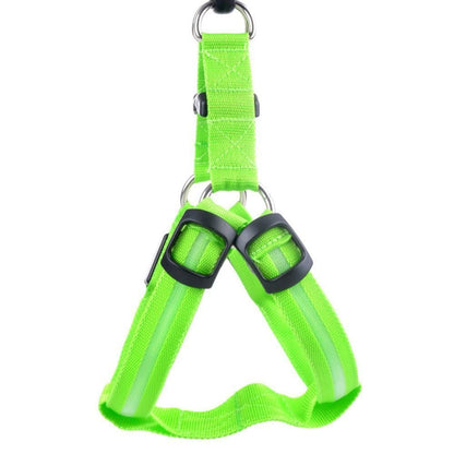 Piscine portable pour animaux de compagnie
