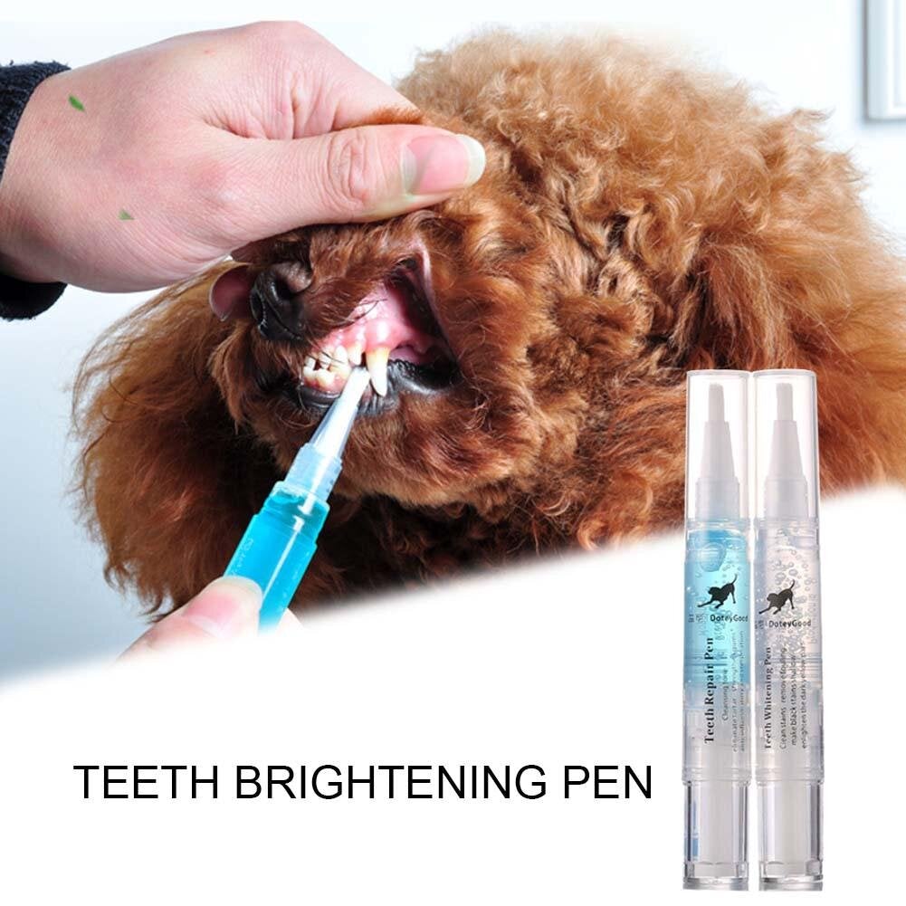 Kit de soin des dents et des gencives pour chien