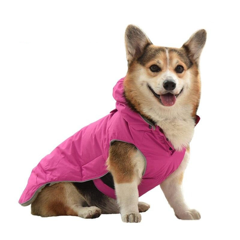 Harnais en polaire douce pour promenade hivernale