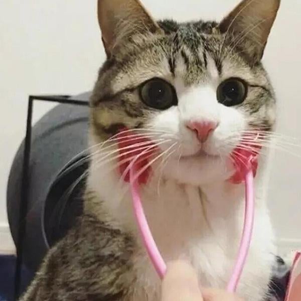 Rouleau de massage ergonomique pour animaux de compagnie