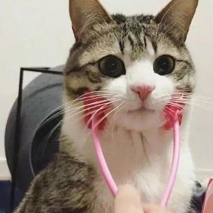 Rouleau de massage ergonomique pour animaux de compagnie