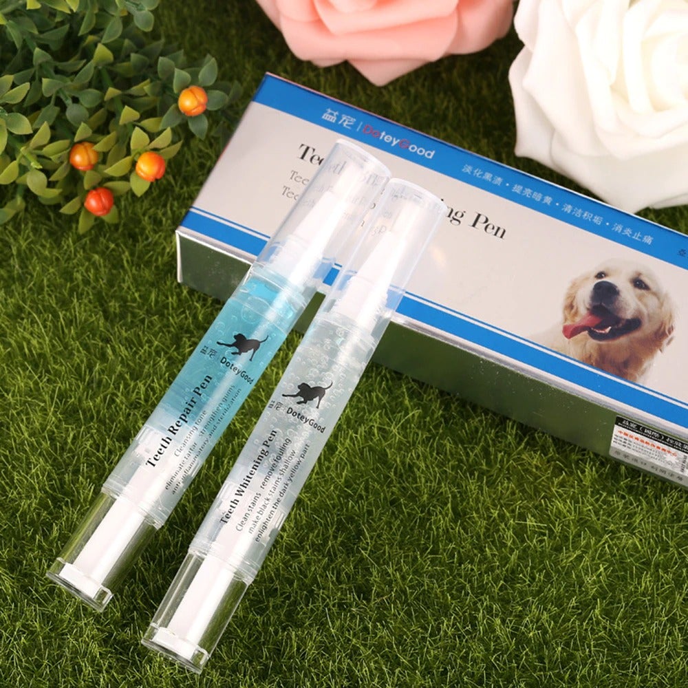 Stylo de nettoyage pour plaque et tartre des dents du chien