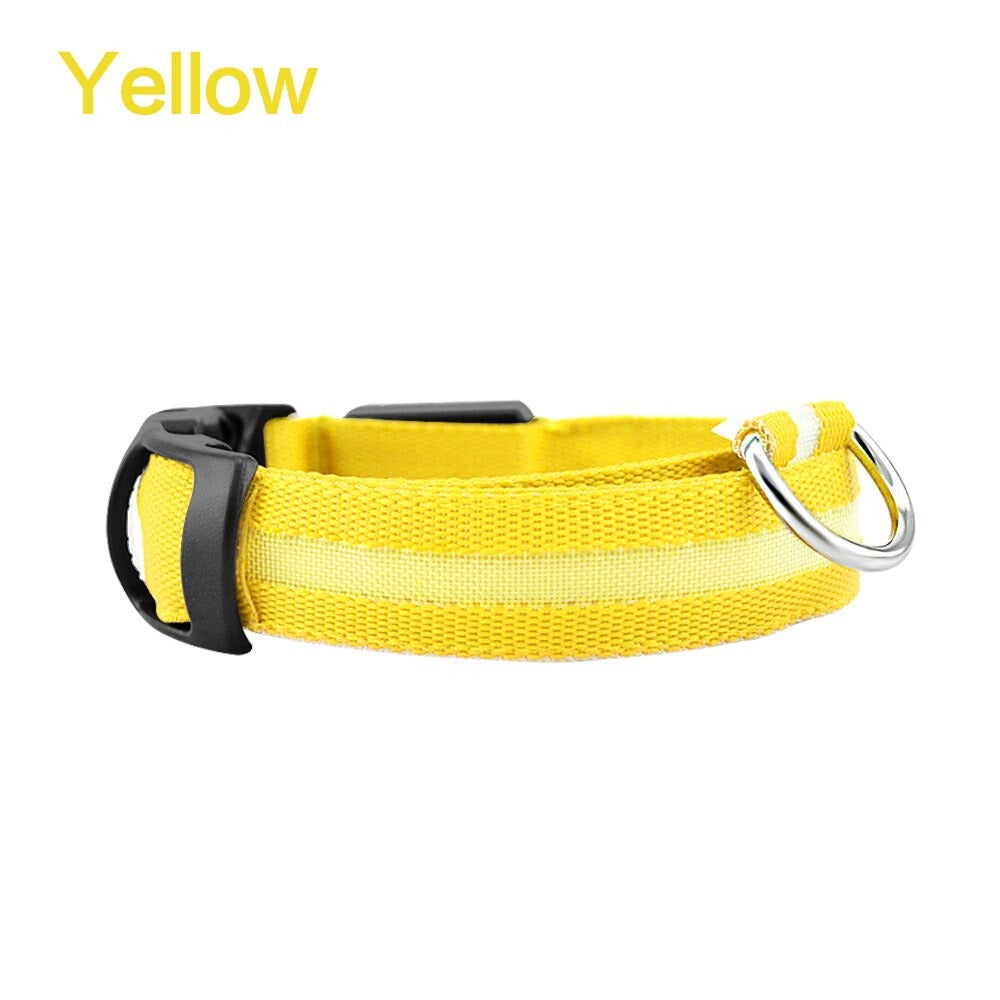 Collier de sécurité pour chien avec plusieurs modes d'éclairage