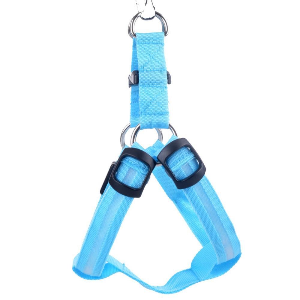 Piscine portable pour animaux de compagnie