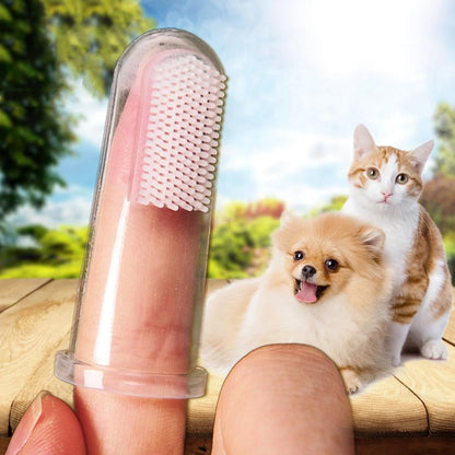 Brosse dentaire manuelle pour l'hygiène bucco-dentaire animale