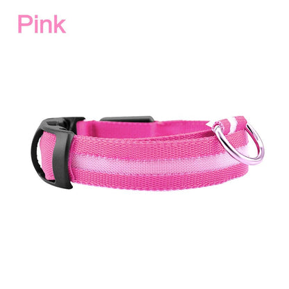 Collier LED lumineux de sécurité pour chien