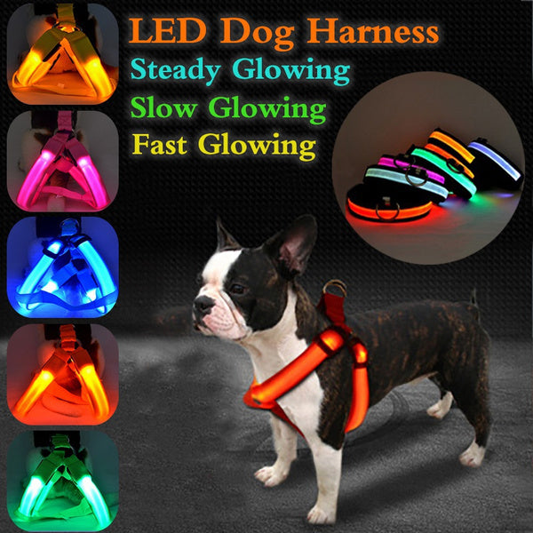 Baignoire pliable en PVC pour chien
