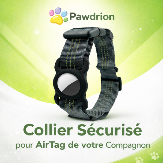 Support AirTag pour Collier de Chien™