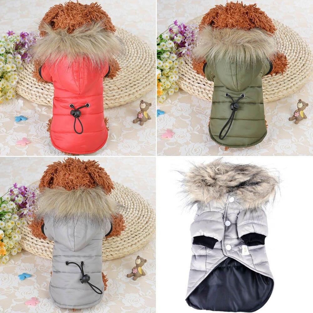 Vêtement chaud et confortable pour chien en hiver