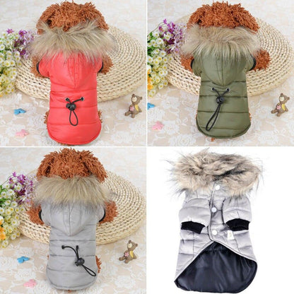 Vêtement chaud et confortable pour chien en hiver