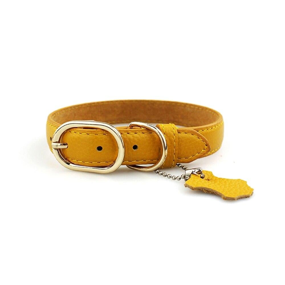 Collier classique en cuir de vachette pour chien
