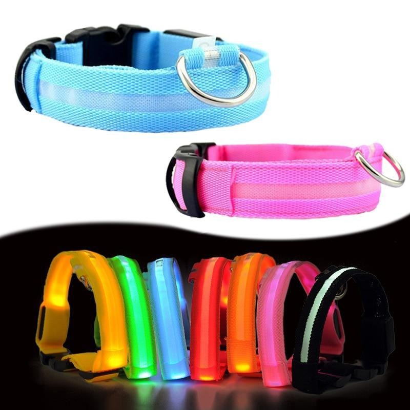 Collier lumineux rechargeable USB pour promenade nocturne