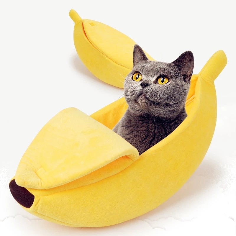 Maison en forme de banane pour chat et petit chien