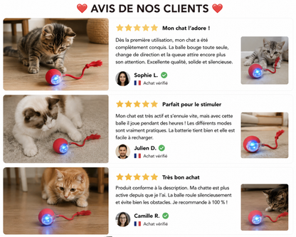 ChasseBall™ – Jouet Intelligent Rechargeable pour Chat