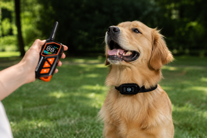 SmartCollar IA™ – Collier Anti-Aboiement Intelligent Sans Douleur & Collier de Dressage pour Chien