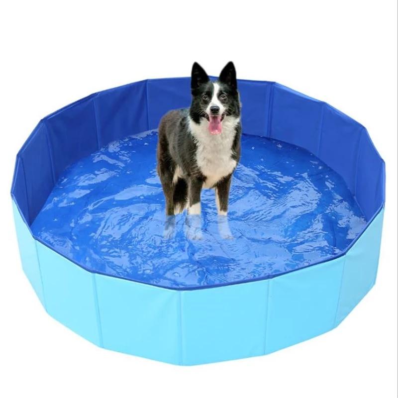 Piscine portable pour animaux de compagnie