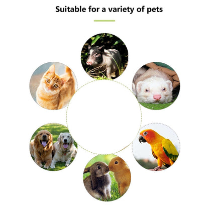 Sifflet de dressage portable avec clicker pour chien