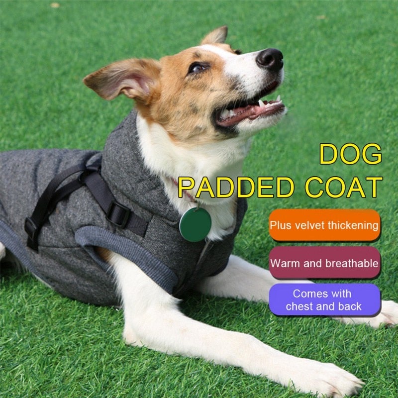 Manteau polaire avec harnais intégré pour chien
