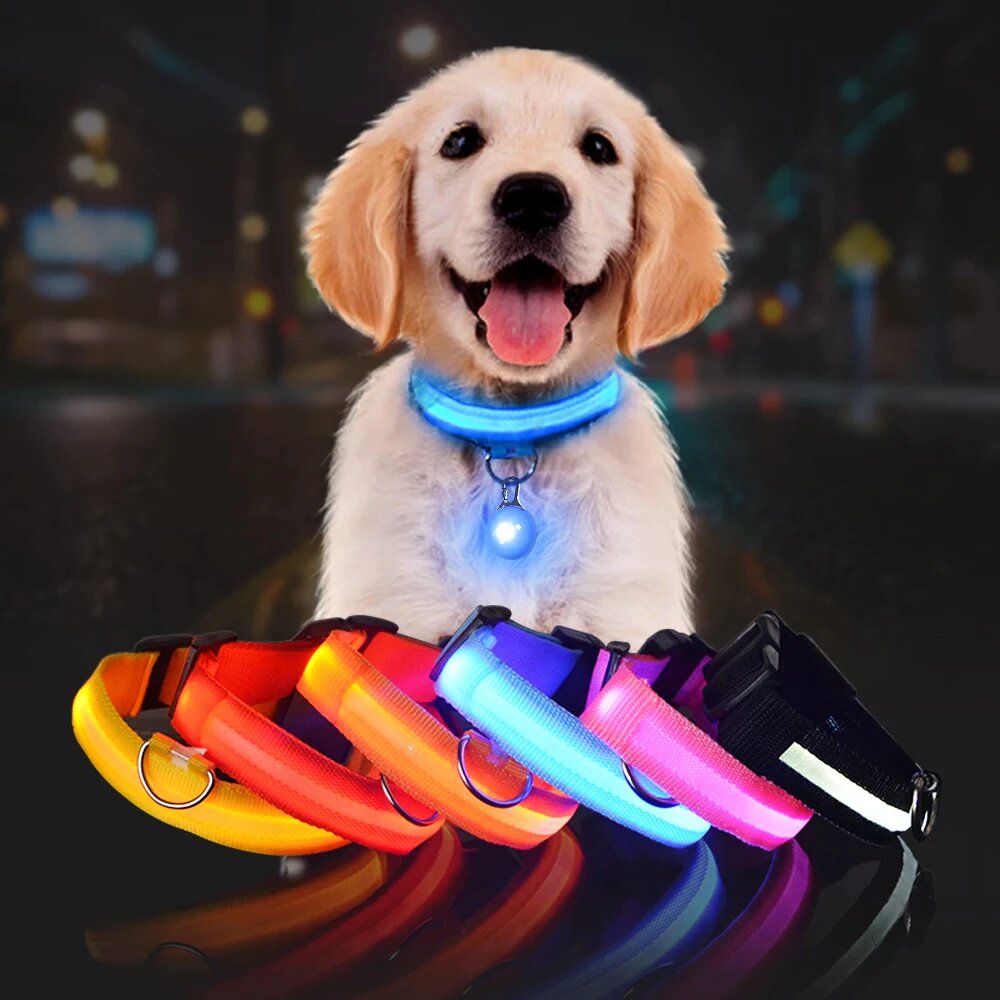 Collier LED réglable pour améliorer la visibilité du chien
