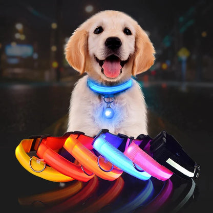 Collier LED réglable pour améliorer la visibilité du chien