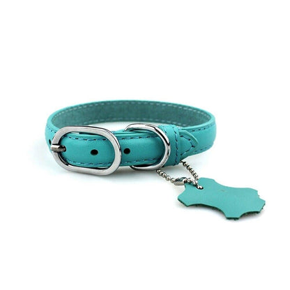 Collier en cuir véritable pour chien avec étiquette