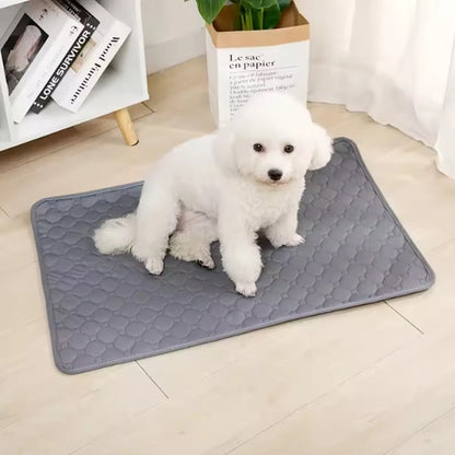 DryPaw™ | Tapis Absorbant Lavable Premium pour Chiens & Chats