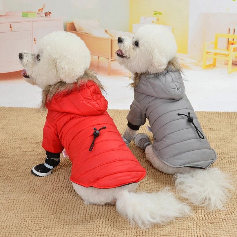 Manteau pour chien avec détails réfléchissants