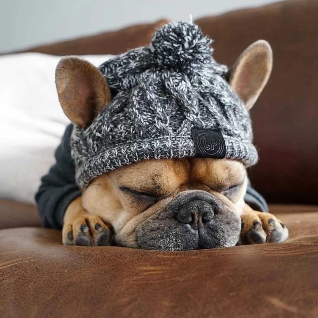 Bonnet tricoté pour petite et moyenne taille de chien