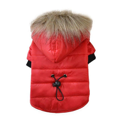 Vêtement chaud et confortable pour chien en hiver