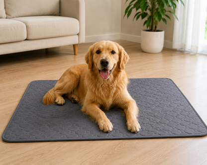 DryPaw™ | Tapis Absorbant Lavable Premium pour Chiens & Chats