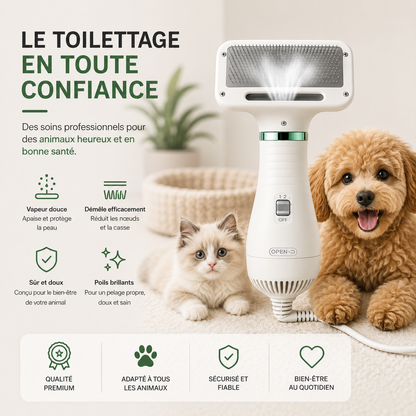 Brosse et sèche-cheveux 2 en 1 pour démêler et sécher le pelage des animaux