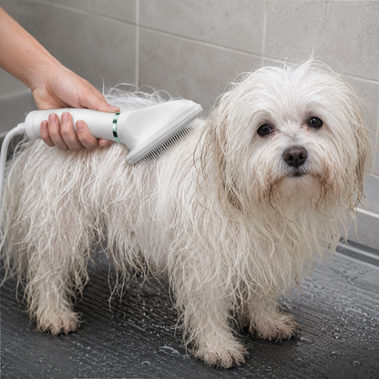 Brosse séchante 2 en 1 utilisée pour brosser et sécher un chien après le bain