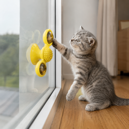 Chat utilisant un jouet à ventouse avec moulin rotatif