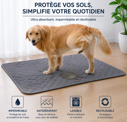 DryPaw™ | Tapis Absorbant Lavable Premium pour Chiens & Chats