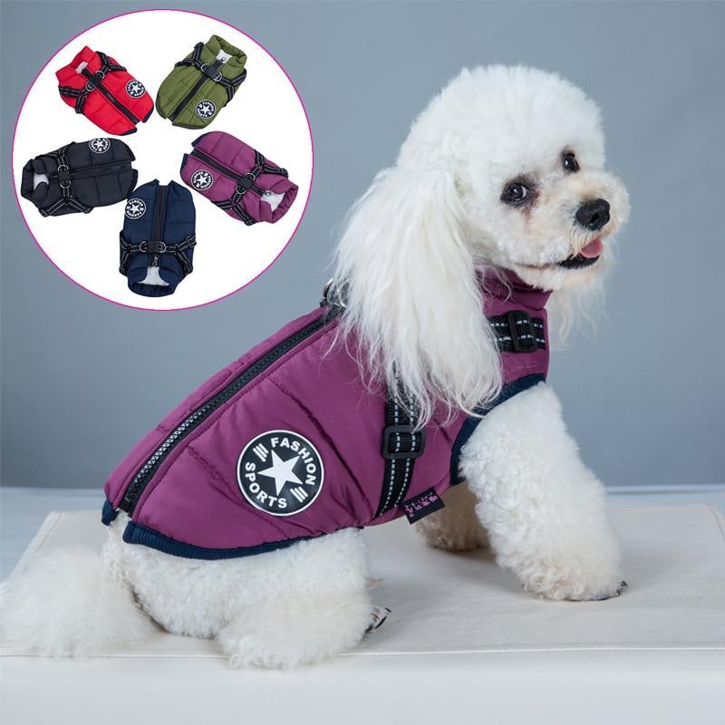 Harnais-veste réfléchissant pour promenade avec chien