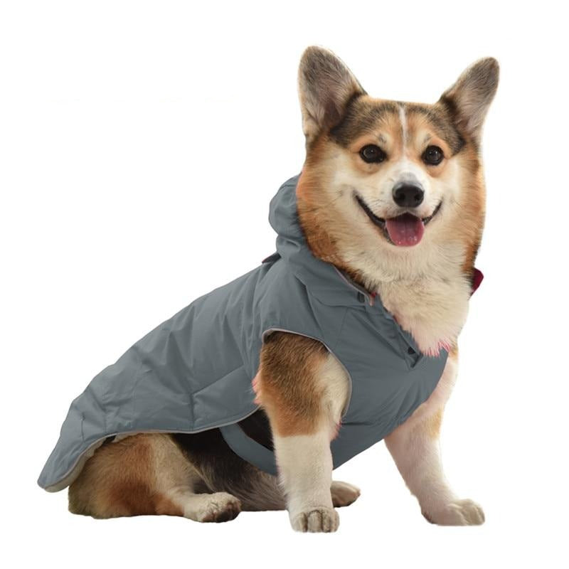 Vêtement chaud et confortable pour chien en hiver