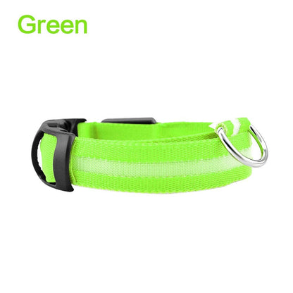 Collier lumineux en nylon pour chien avec fibre optique